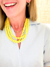 Load image into Gallery viewer, The Mixed Metal Carabiner Necklaces
