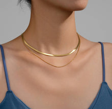 Load image into Gallery viewer, The Double Chain Necklace
